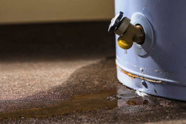  Eagleton Village, TN Water damage restoration Pros
