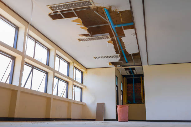 Best Flooded house restoration  in Eagleton Village, TN