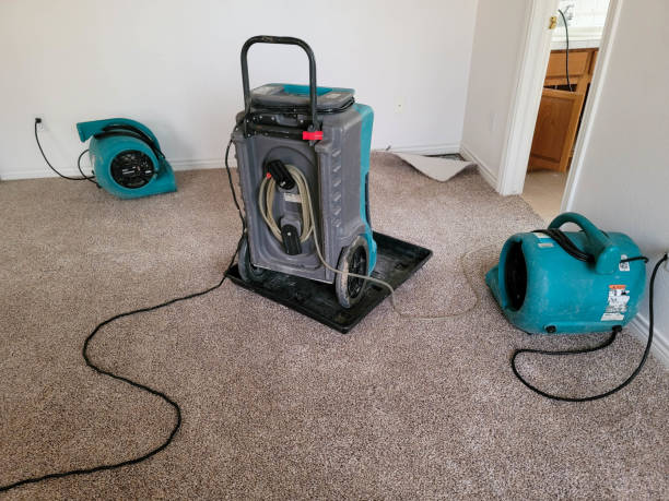 Best Fire Damage Restoration  in Eagleton Village, TN