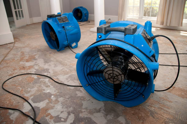 Best Emergency water damage restoration  in Eagleton Village, TN