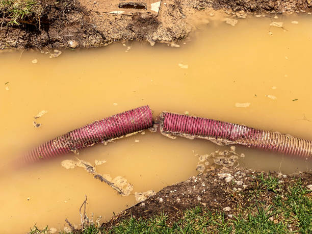 Best Residential water damage restoration  in Eagleton Village, TN