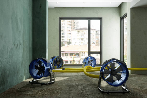 Best Ceiling water damage repair  in Eagleton Village, TN