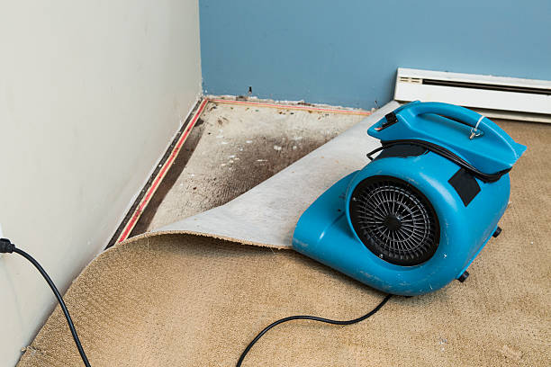 Best Water damage restoration near me  in Eagleton Village, TN
