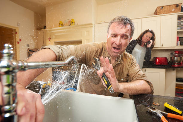 Best Local water damage restoration  in Eagleton Village, TN